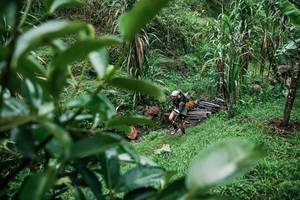 BIB: 
                            <button type="button" onclick="openModal(26200111)" class="btn btn-primary btn-sm float-right btn-popup" data-toggle="modal" data-target=".modal-high-quality">
                        <i class="fas fa-shopping-cart"></i> Add to Cart
                    </button>
                                            <button type="button" onclick="isThisMe(26200111, true)" class="btn btn-success btn-sm float-right btn-popup btn-isme hidden" data-toggle="tooltip" data-placement="bottom" title="นี่คือรูปของคุณใช่ไหม คลิกที่นี่เพื่อเอาเข้าอัลบั้ม">
                        <i class="fas fa-plus"></i> Add to album
                    </button>
                    <button type="button" onclick="isThisMe(26200111, false)" class="btn btn-warning btn-sm float-right btn-popup btn-isnotme hidden">
                        <i class="fas fa-ban"></i> Remove from album
                    </button>